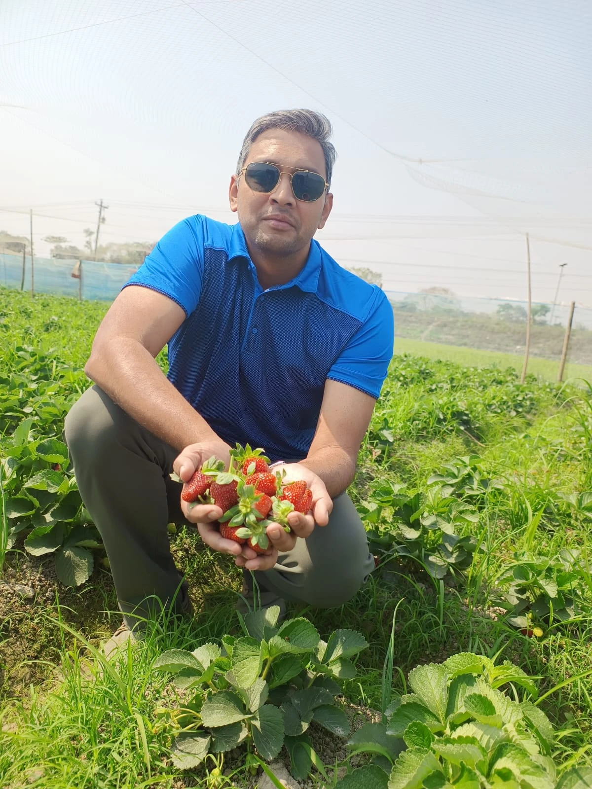 Field visit to Joypurhat! Director of DAAHUK Md. Magfi Reza Siddique showcases the beautiful strawberry yield from our indigenous women's farming cooperative