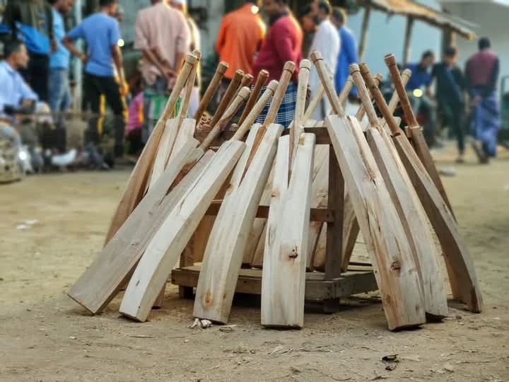 Northern Bangladesh Cricket Bat Manufacturing Enterprise