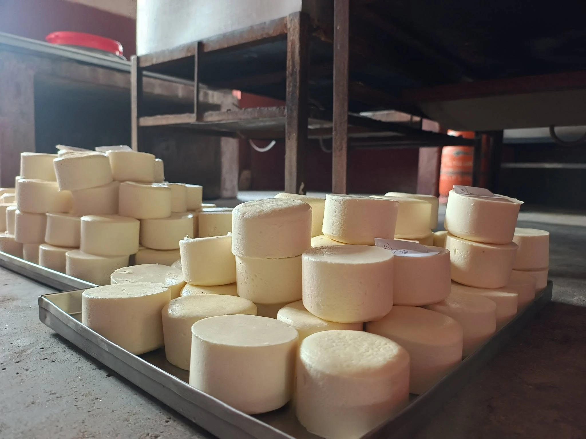 Community Dairy & Artisan Cheese Enterprise