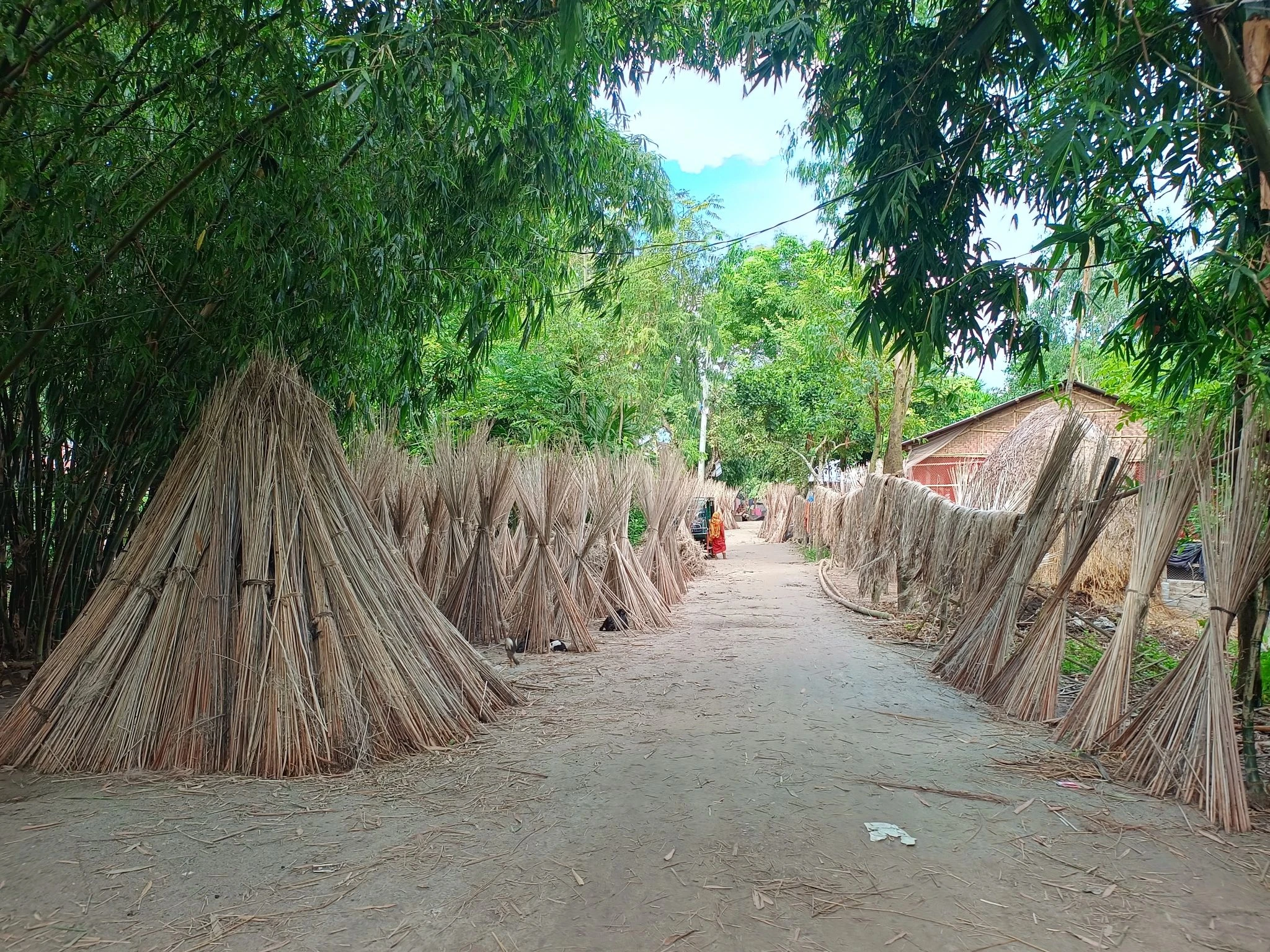 Cooperative Based Jute & Natural Fibre Enterprise